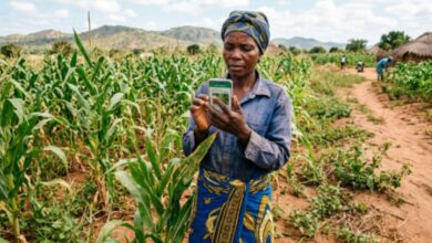 Descubra o impacto real da inteligência artificial em Moçambique